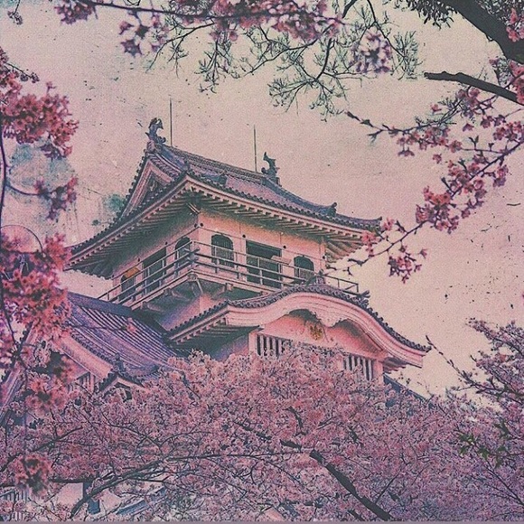 naeko0